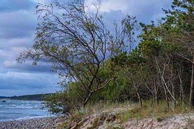 CBA球队团队协作训练方法，cba合作伙伴