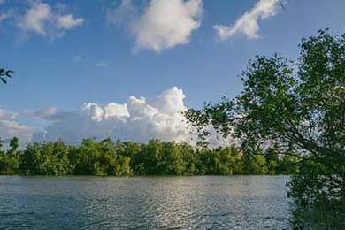 京沪激战【112-108】：北京队凭借王强关键三分险胜上海队！，cba京沪大战